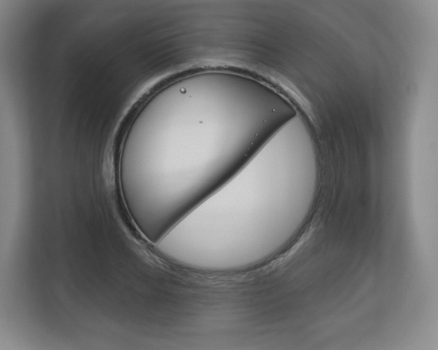 X0000113180934200909040951
