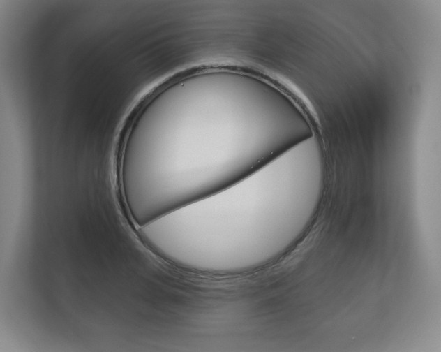 X0000113180935200909040951