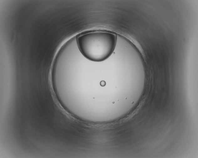 X0000113180936200909040951