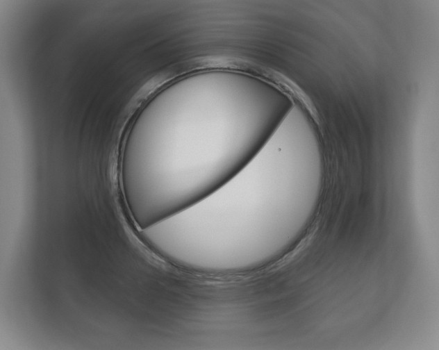 X0000113180938200909040951