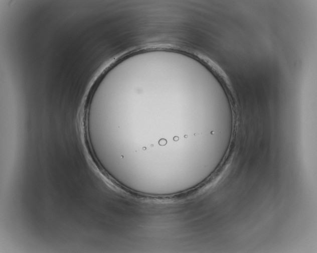 X0000113180941200909040951