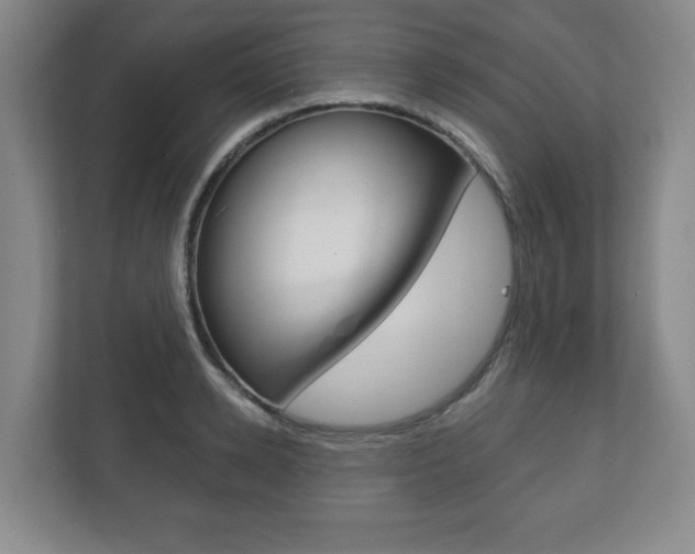 X0000113180942200909040951