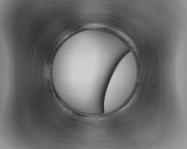 X0000113180945200909040951