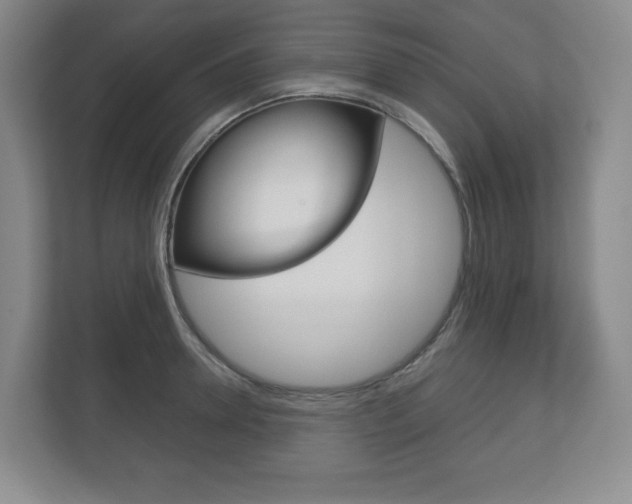 X0000113180946200909040951