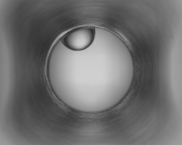 X0000113180948200909040951