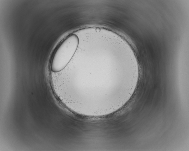 X0000113180950200909040951