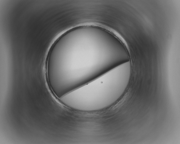 X0000113180951200909040951