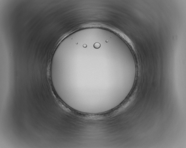 X0000113180953200909040951