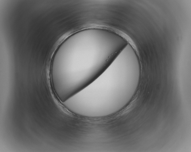 X0000113180954200909040951