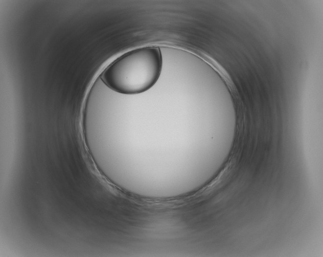 X0000113180956200909040951