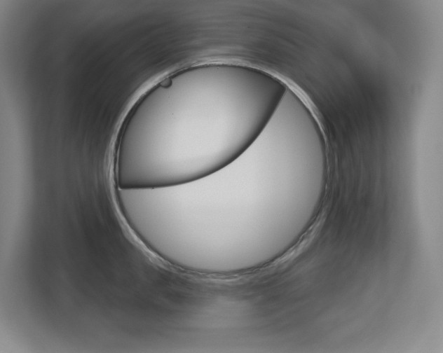 X0000113180957200909040951