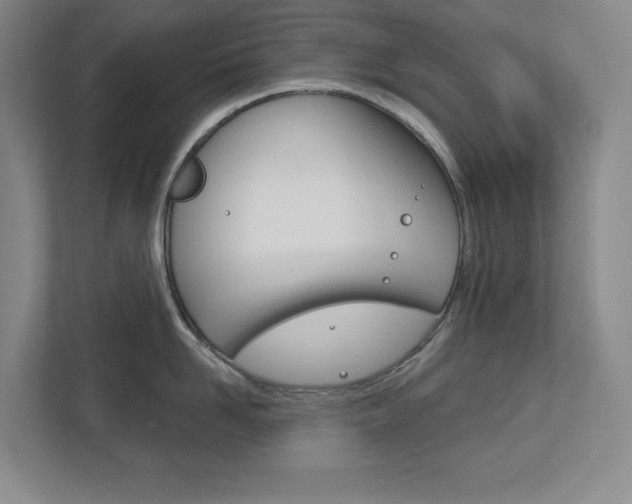 X0000113180958200909040951