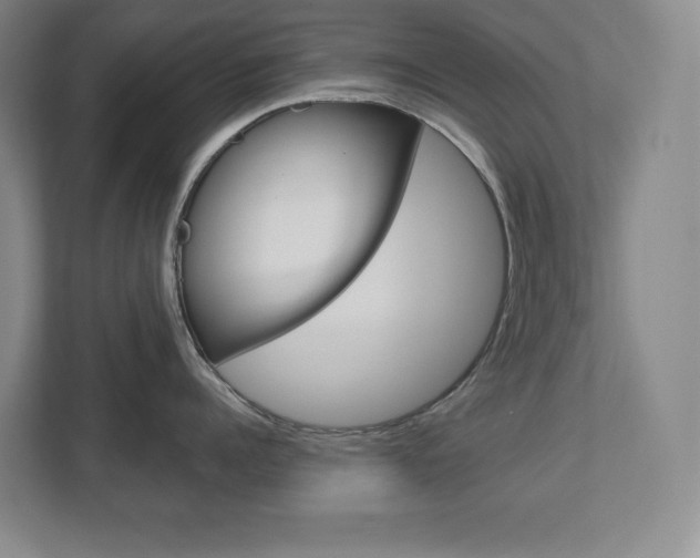 X0000113180960200909040951
