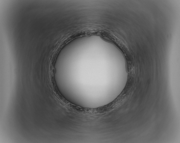 X0000113180961200909040951