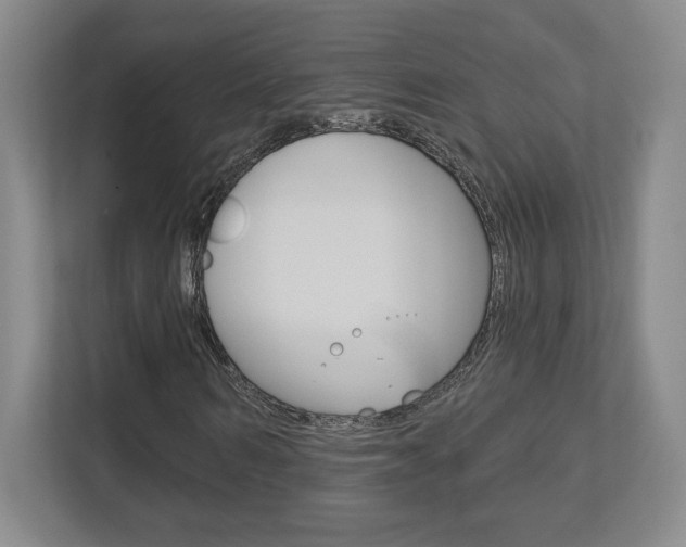X0000113180962200909040951