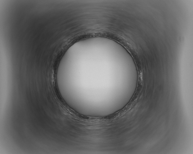 X0000113180963200909040951