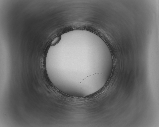 X0000113180964200909040951