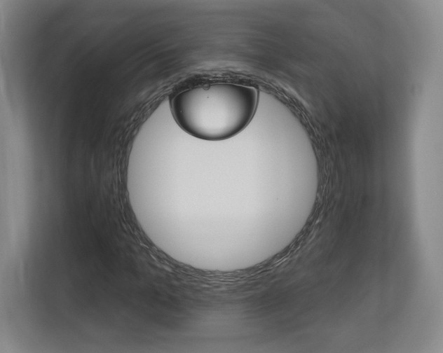 X0000113180965200909040951