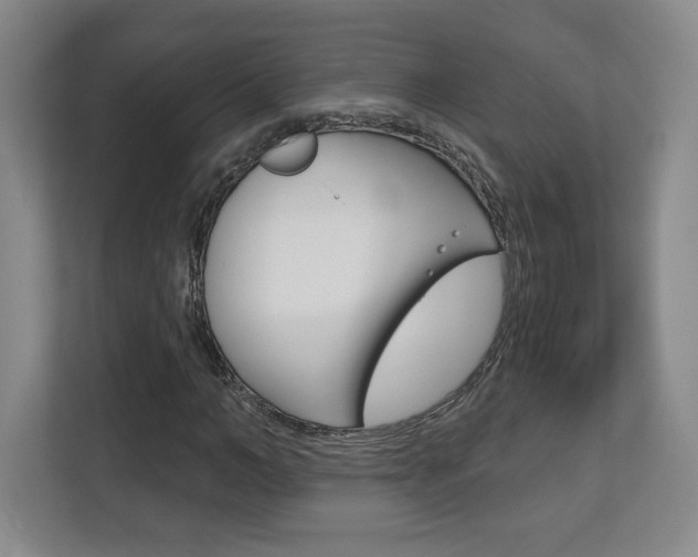 X0000113180966200909040951