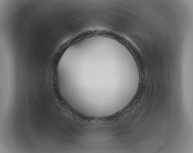 X0000113180967200909040951
