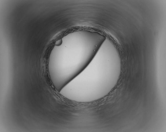 X0000113180968200909040951