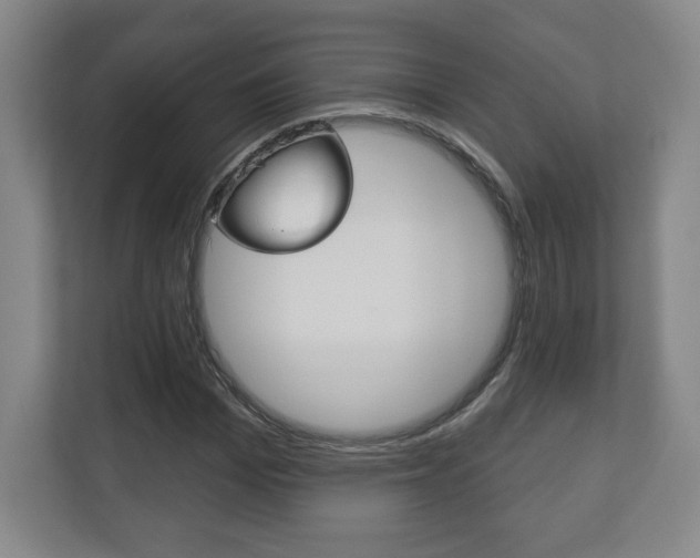 X0000113180969200909040951