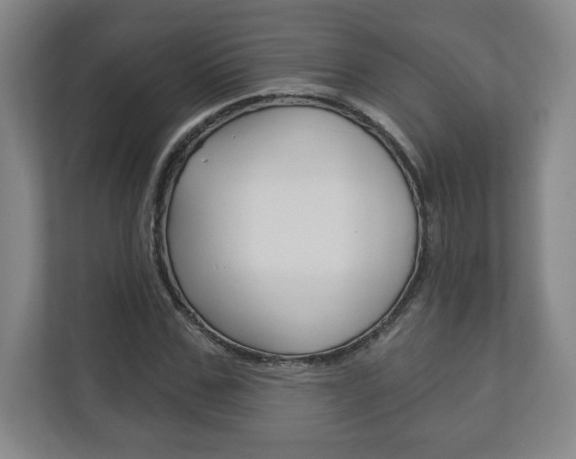 X0000113180971200909040950