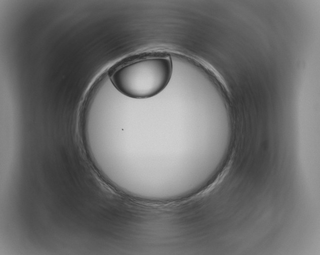 X0000113180973200909040950