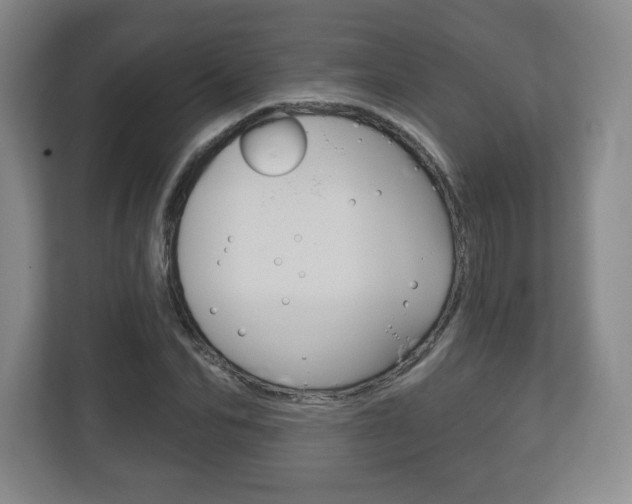 X0000113180974200909040950