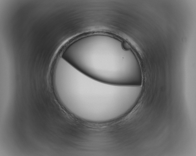 X0000113180975200909040950