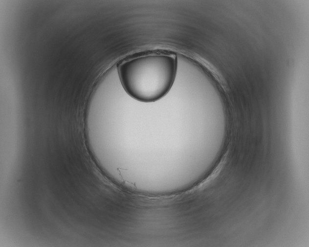 X0000113180977200909040950