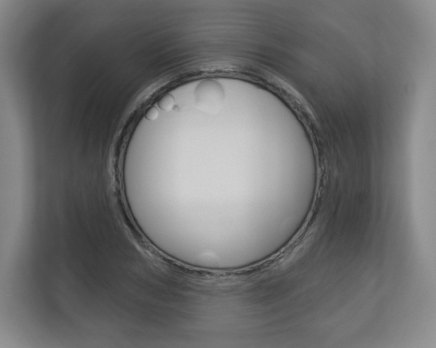 X0000113180978200909040950