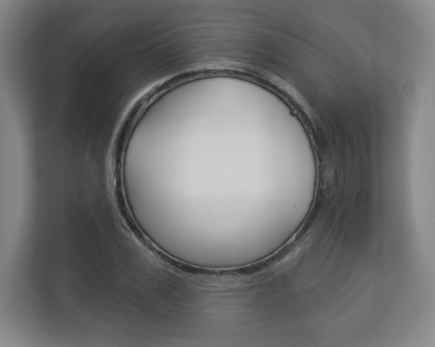 X0000113180979200909040950