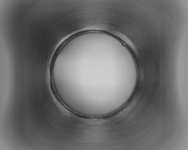 X0000113180980200909040950