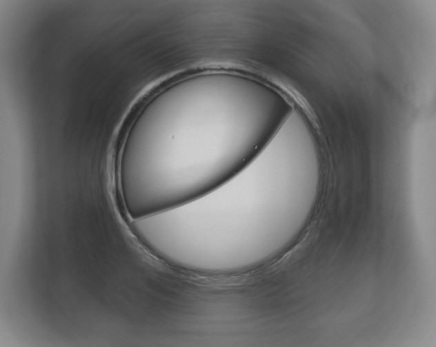 X0000113180984200909040950