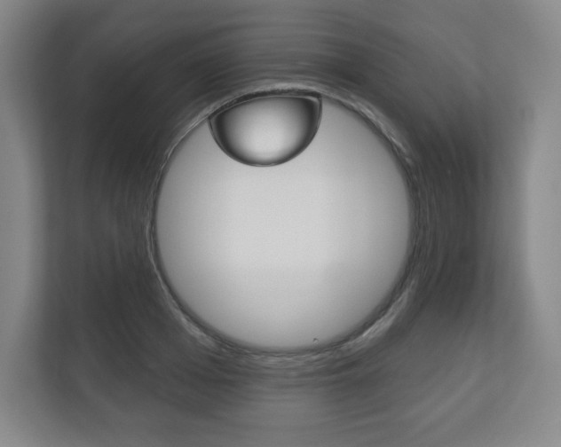 X0000113180985200909040950