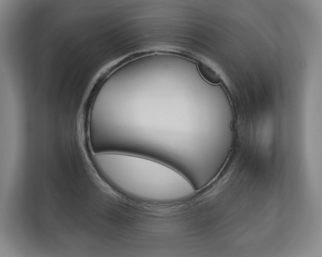 X0000113180987200909040950