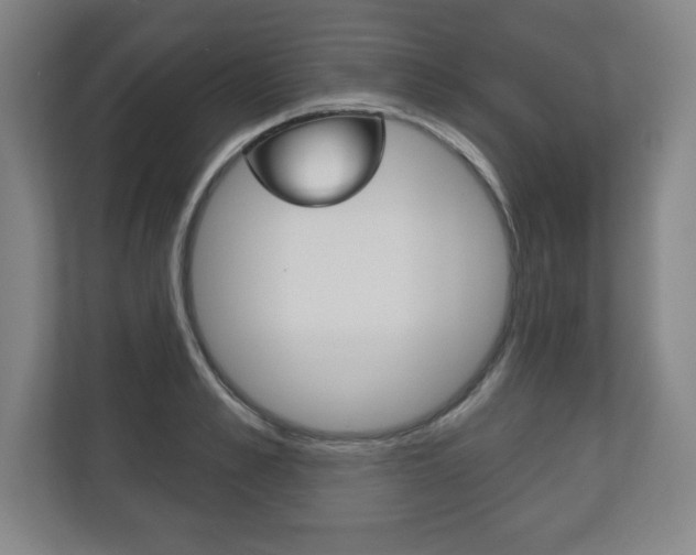X0000113180989200909040950
