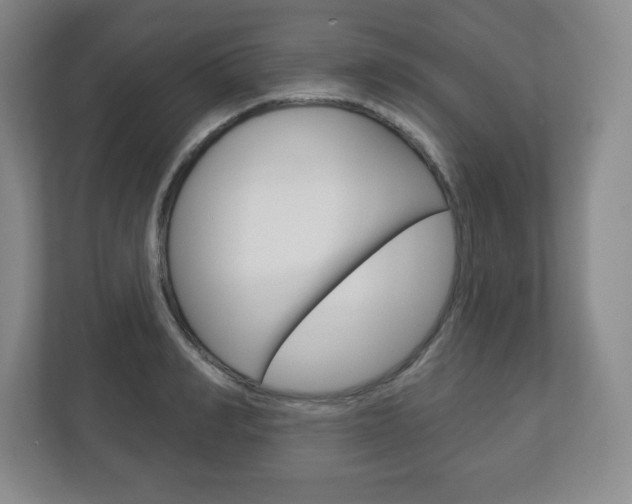 X0000113180990200909040950