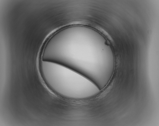 X0000113180991200909040950