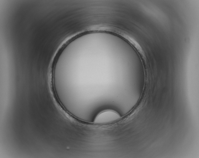 X0000113180992200909040950