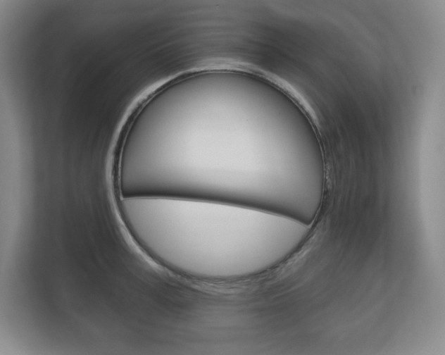 X0000113180995200909040950