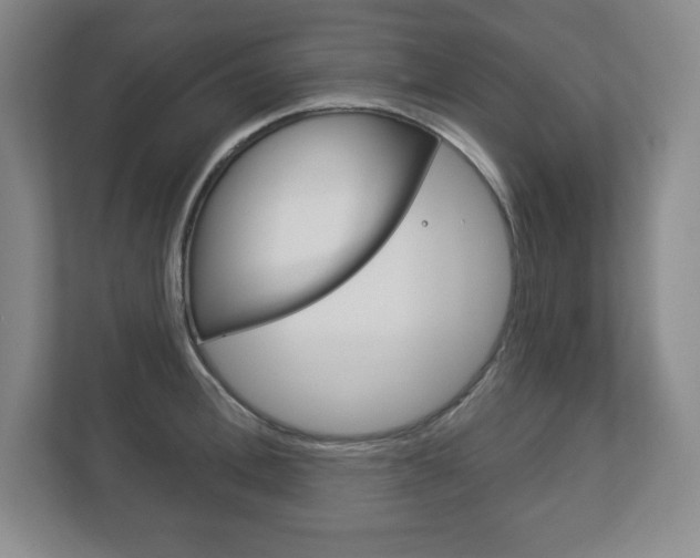 X0000113180996200909040950