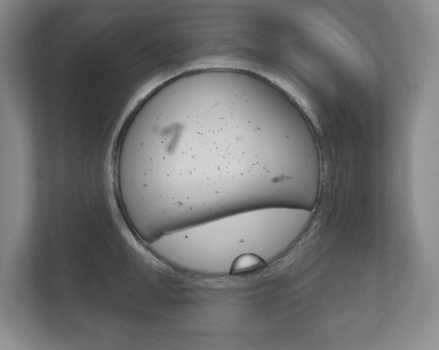 X0000113180998200909040950