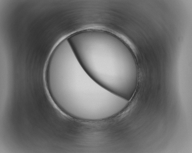 X0000113180999200909040950