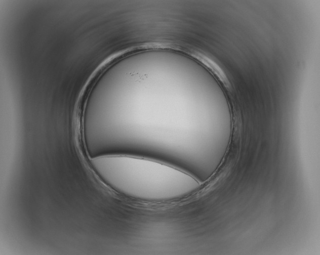 X0000113181000200909040950