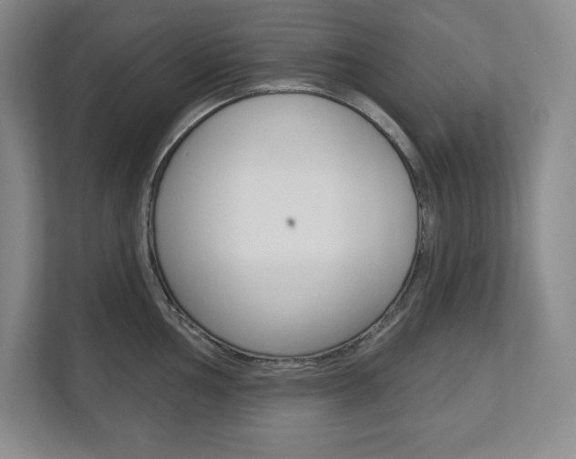 X0000113181002200909040950