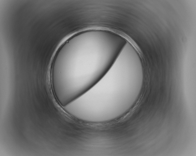 X0000113181004200909040950