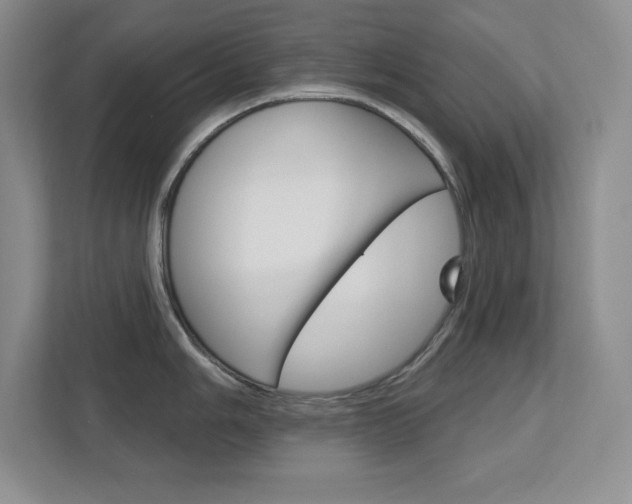 X0000113181006200909040950