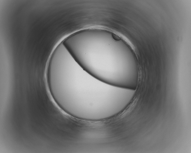 X0000113181007200909040950